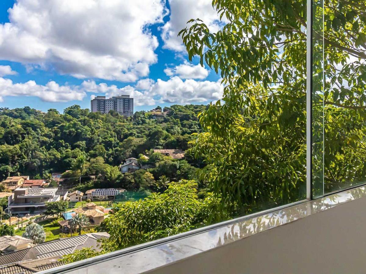 Casa, 4 quartos, 436 m² - Foto 14